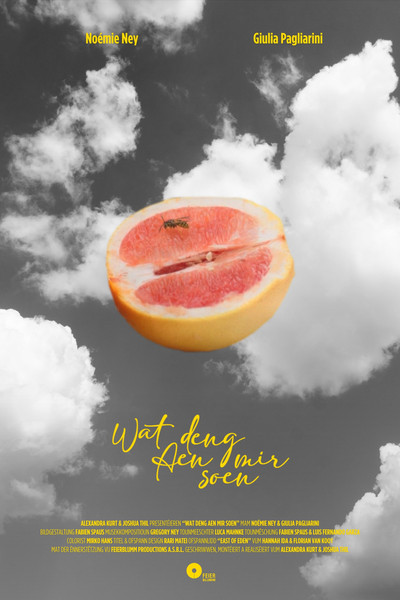 movie poster for Wat deng Aen mir soen