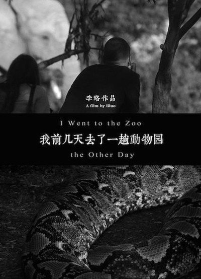 Poster do Filme 我前几天去了一趟动物园