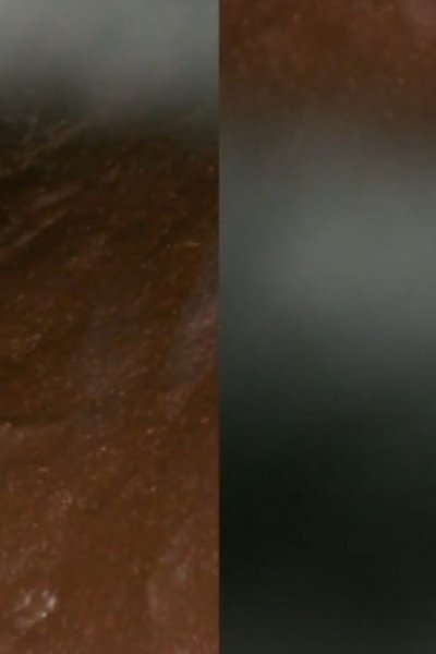 movie poster for And the Earth Opened