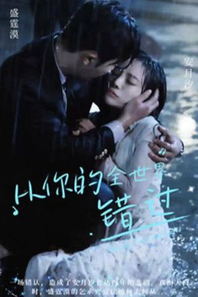 poster for Missed from Your Whole World