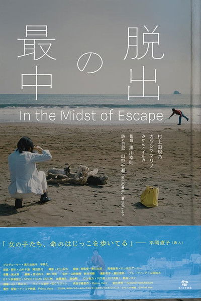 Poster do Filme 脱出の最中