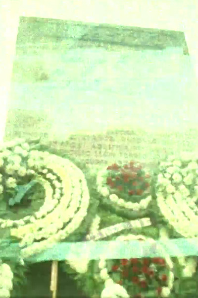 Poster do Filme Faces in the Crowd 3: Paralaje