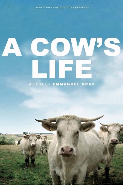 Watch Now!Bovines Movie Online Free Putlocker