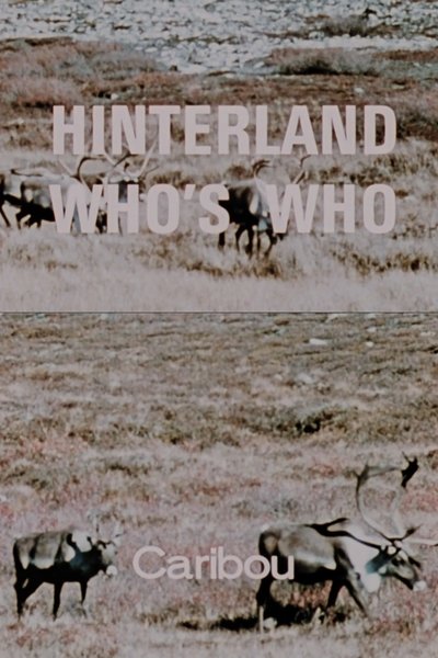 Poster do Filme Hinterland Who's Who: Caribou