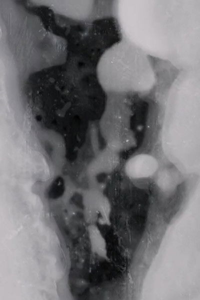 Poster do Filme Dandelion