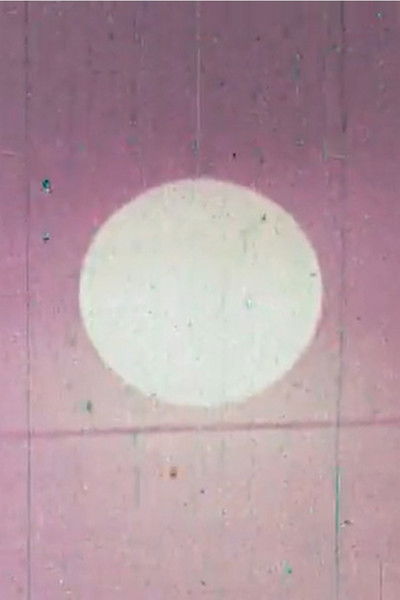 Wandering Through Winter