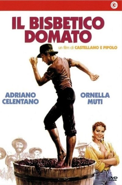 Il bisbetico domato (1980)