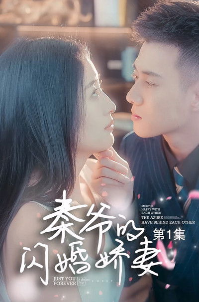 poster for 秦爷的闪婚娇妻