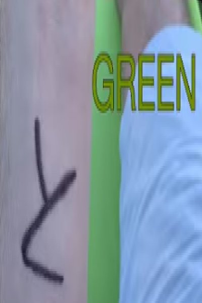 Poster do Filme Green