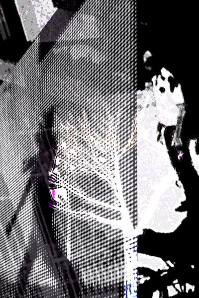 Poster do Filme Registros da Tarde