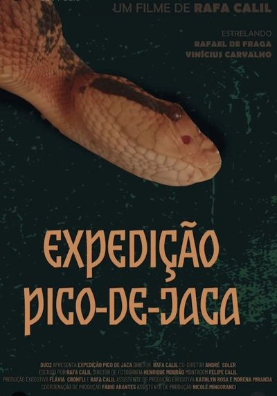 Poster do Filme Expedição Pico-De-Jaca