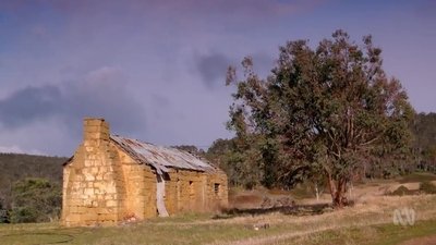 Hunting Ground, Tas