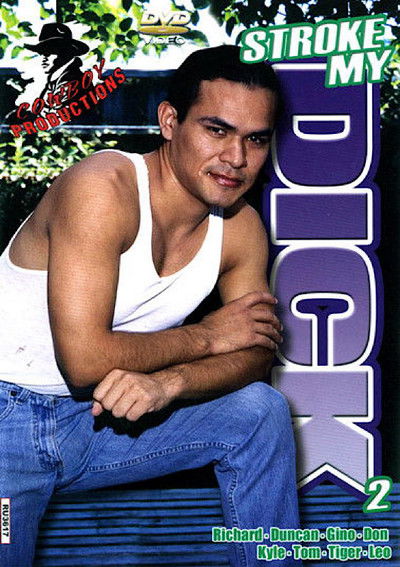 movie poster for Stroke My Dick 2