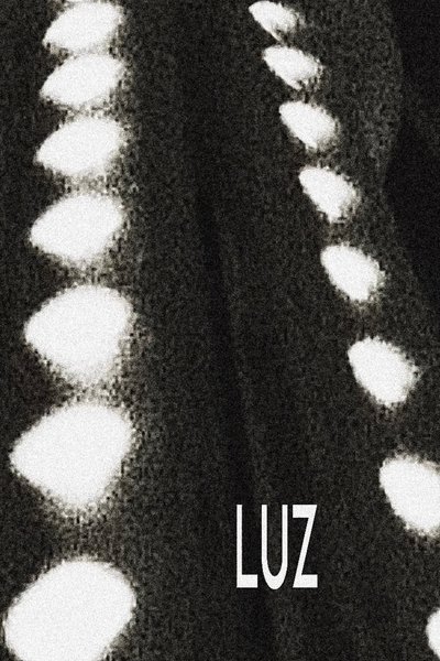 movie poster for Luz