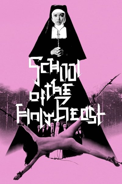 Poster for the movie The Transgressor