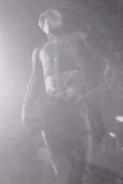 movie poster for The Dance of Death