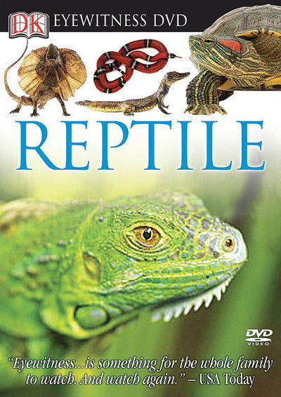Poster do Filme Eyewitness: Reptile