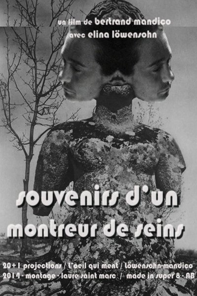 Poster for the movie Memories of boobs flasher
