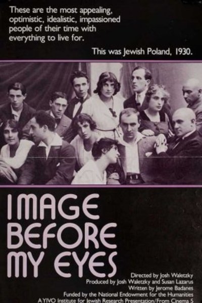 Poster do Filme Image Before My Eyes