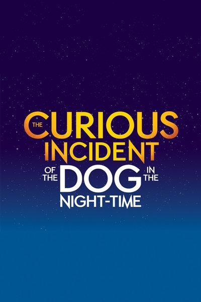 Poster do Filme The Curious Incident of the Dog in the Night-Time