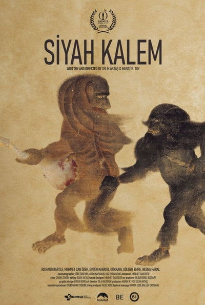 movie poster for Siyah Kalem