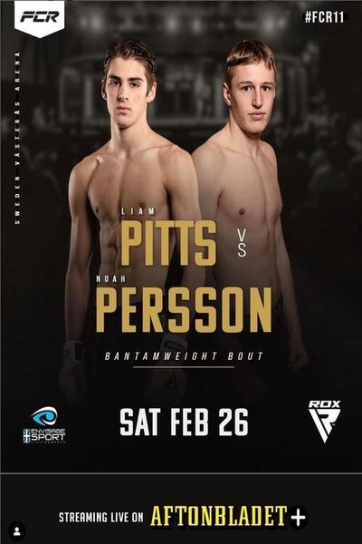 Poster for the movie Fight Club Rush 11