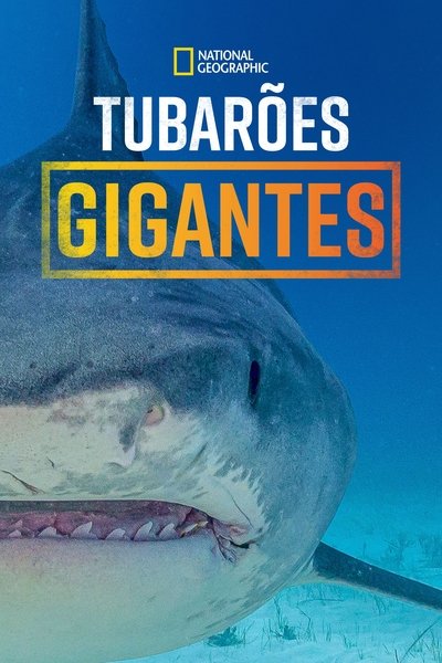 Poster do Filme Supersized Sharks