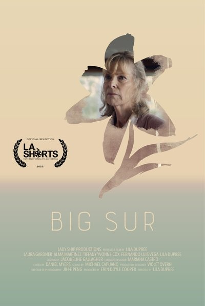 Poster do Filme Big Sur