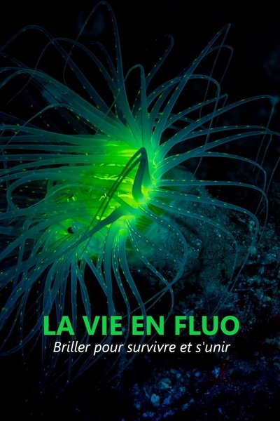poster for La vie en fluo
