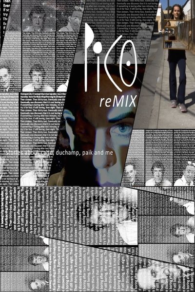 Poster do Filme PICO (reMIX)