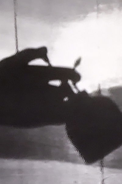 movie poster for THE INFECTION ROUTE No.2