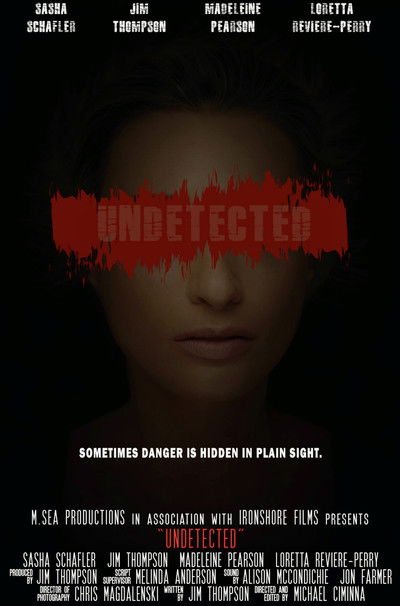 Poster do Filme Undetected