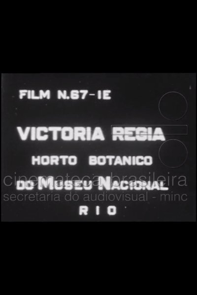 Watch - Victória Régia: Horto Botânico do Museu Nacional Movie Online Free Torrent