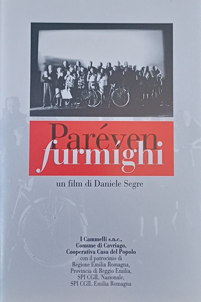 movie poster for Paréven furmighi