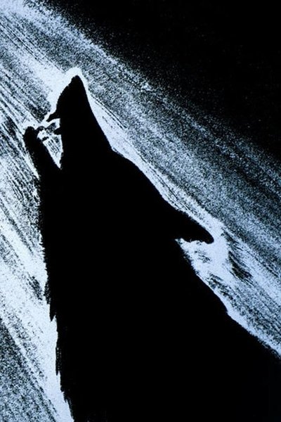 Poster do Filme Fulesee