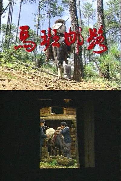 movie poster for Pony Express