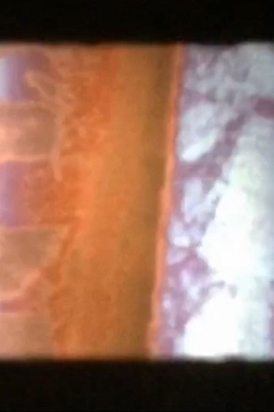 movie poster for Nightmare Arson Fire