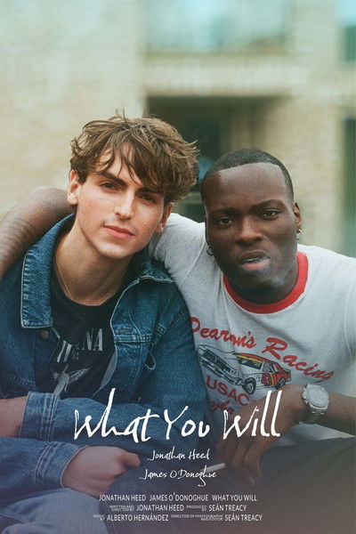 Poster do Filme What You Will