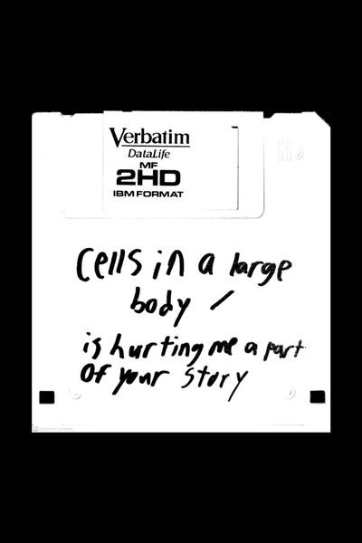 Poster do Filme cells in a large body / is hurting me a part of your story