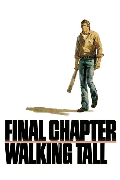 Poster for the movie Final Chapter: Walking Tall