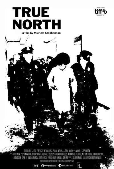 movie poster for True North