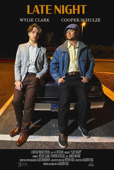 Poster do Filme Late Night