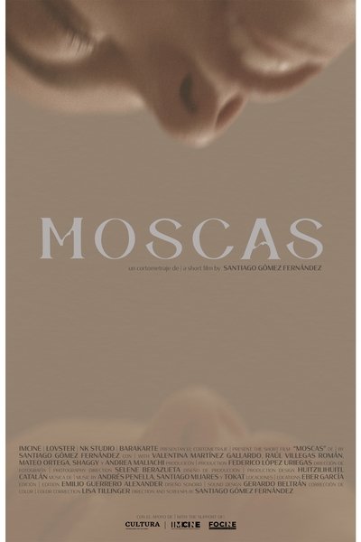 Poster do Filme Moscas