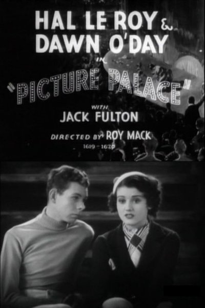 movie poster for Picture Palace