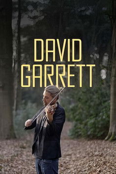 Poster do Filme David Garrett - Ein Weltstar ganz privat
