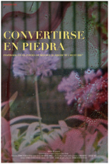 Poster do Filme Convertirse en piedra