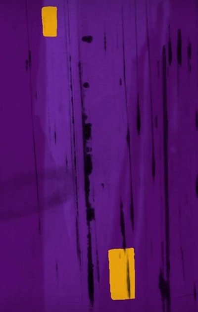 Poster do Filme Jazzimation 2
