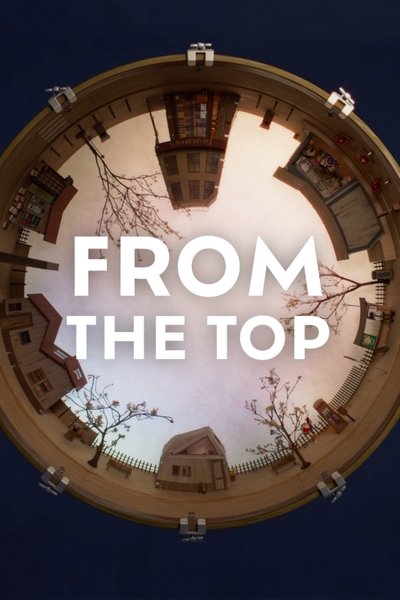 Poster do Filme From the Top