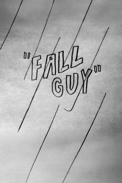 Poster do Filme Fall Guy