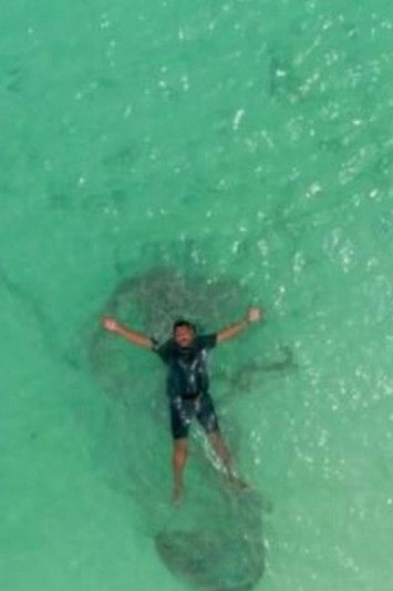 Poster do Filme Just Beneath The Surface